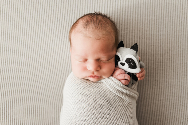 newborn baby boy holding soft racoon toy sleeping