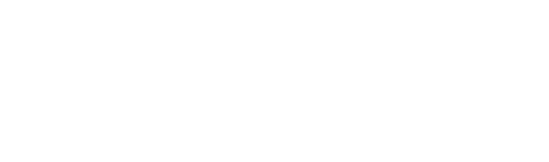 the DV Image NYC Modern & classic wedding photography logo