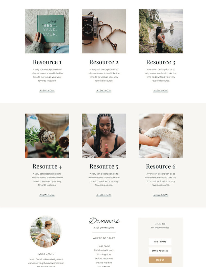 Colorful, feminine Showit  resrouce page website template