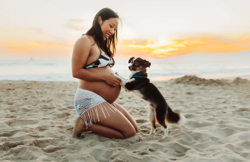 Pregnant mom with her dog at Newport Beach