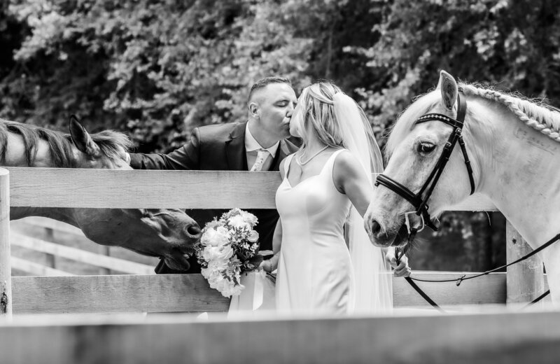 Bride and groom and horses in black and white, Baltimore Wedding Photography