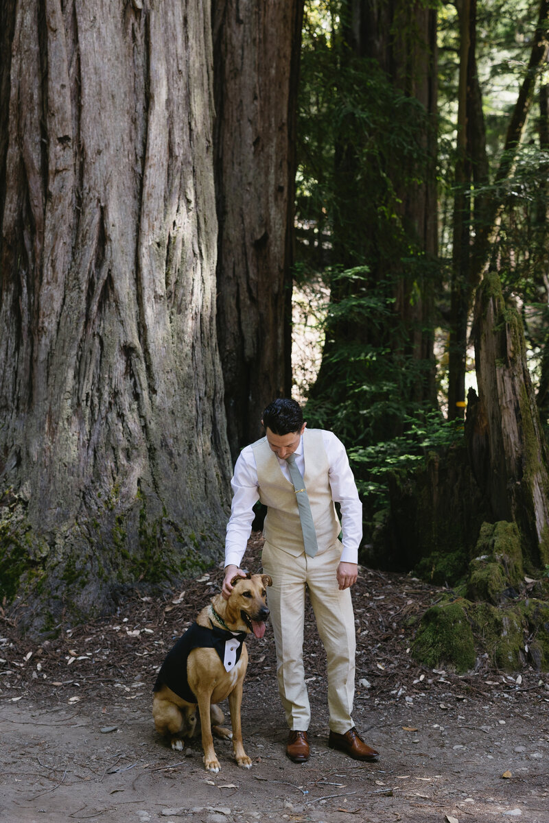 Bay-Area-Wedding-Photographer-52