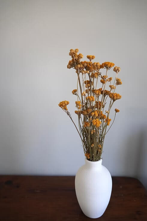 Dried Lona Bundle (6)