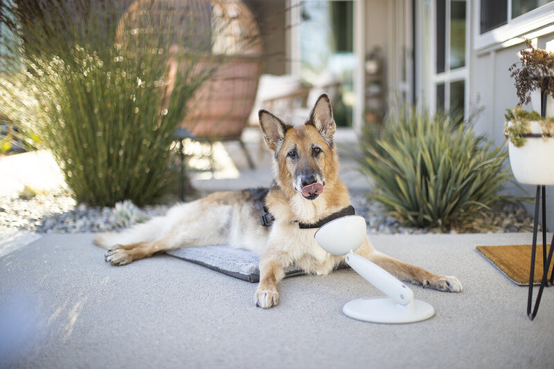 pet-product-photography-san-diego