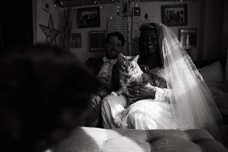 bride and groom photos with cats