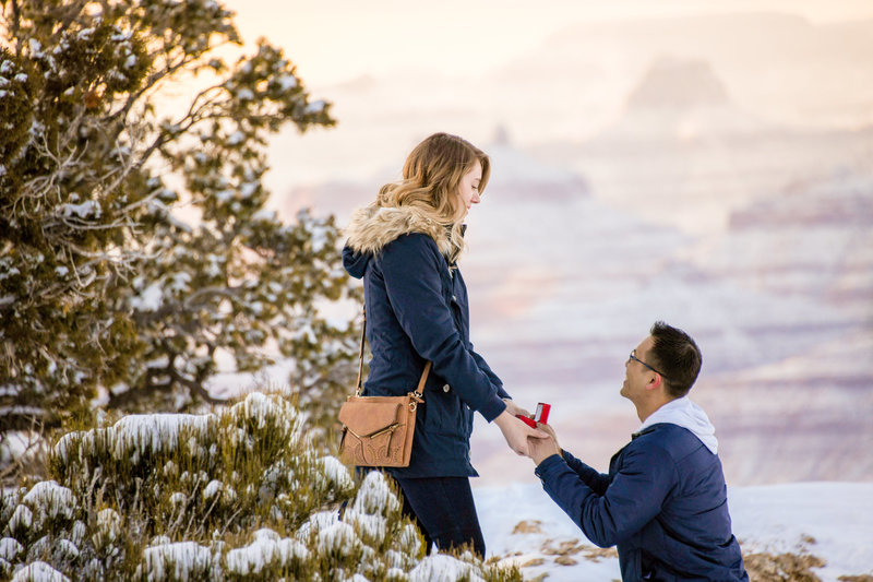 Surprise Engagement Photography by Terri attridge Grand Canyon National Park