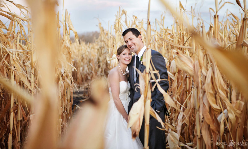 Corn Maze Wedding photo at Denver Botanic Gardens Chatfield Farms in Colorado