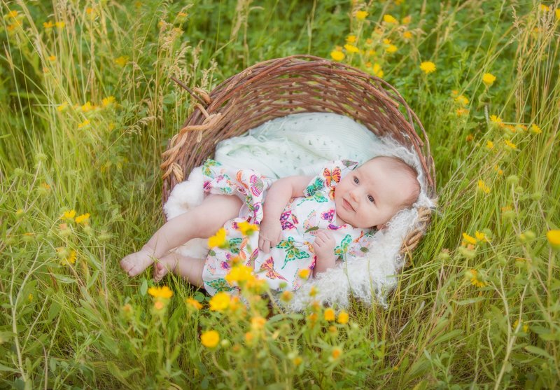 Baby in a basket in yellow summer flowers by the Laramie river.