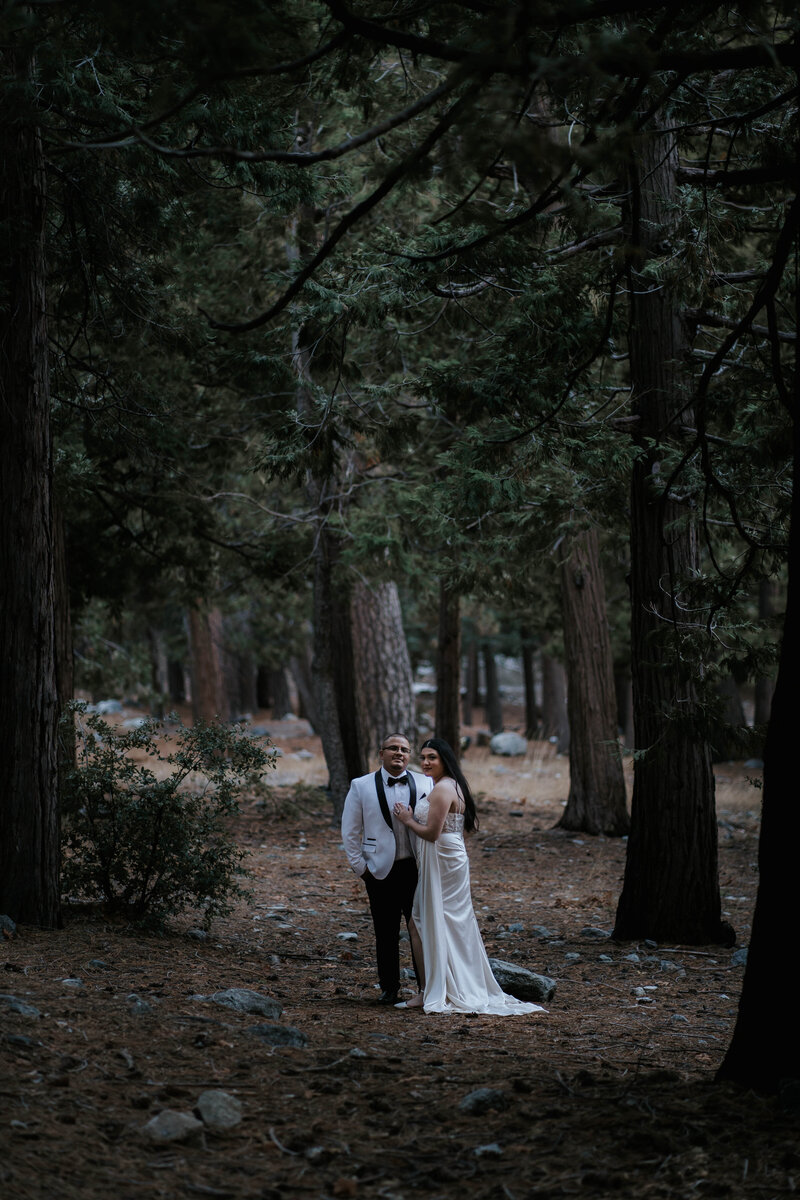 elegant-intimate-elopement-forest-falls-vivian-creek-california-945