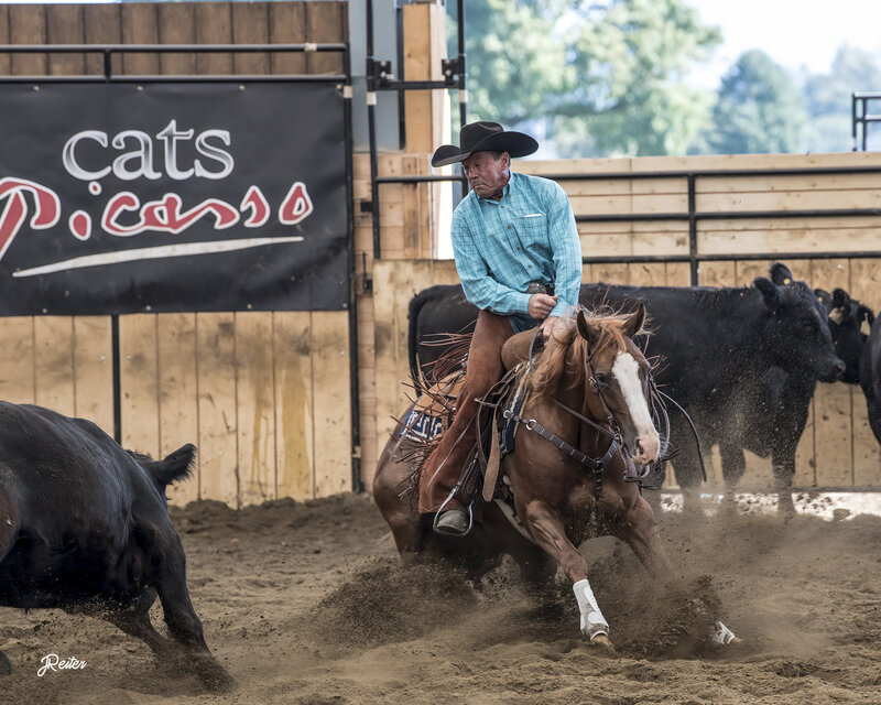 TR Tuff Boorey, a brown mare being ridden at a show