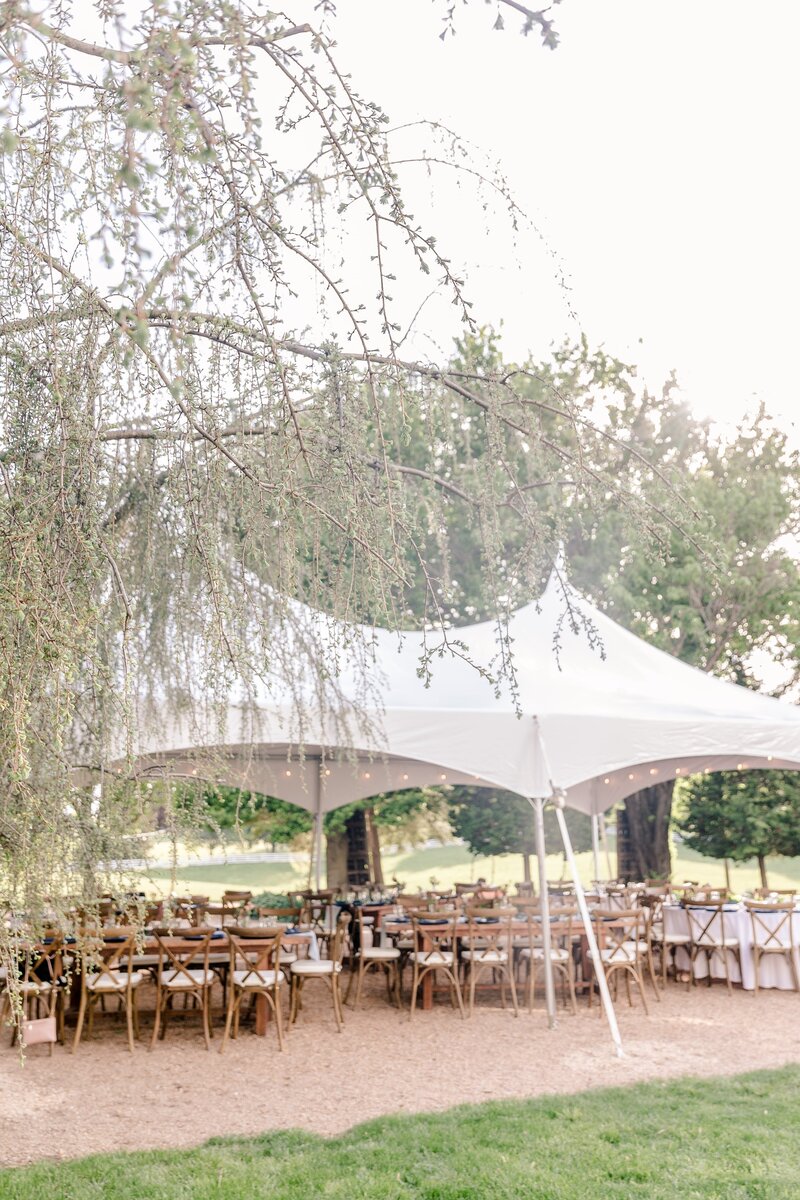 vibrant-farm-wedding-in-waterford-virginia-00036