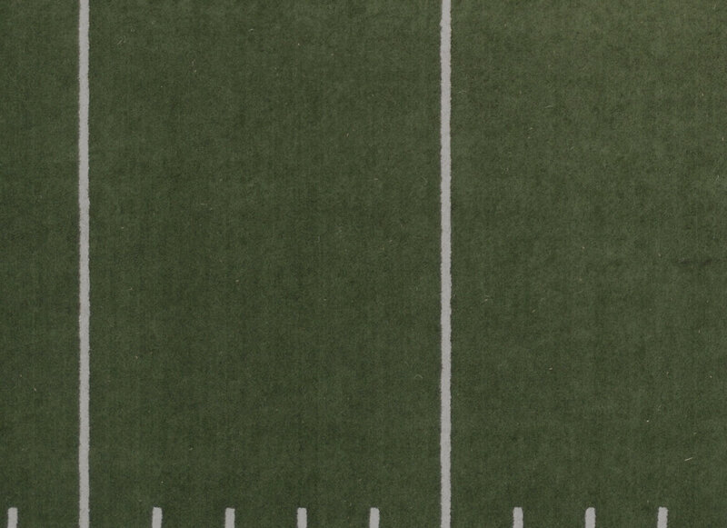 Bird's eye view of a football field