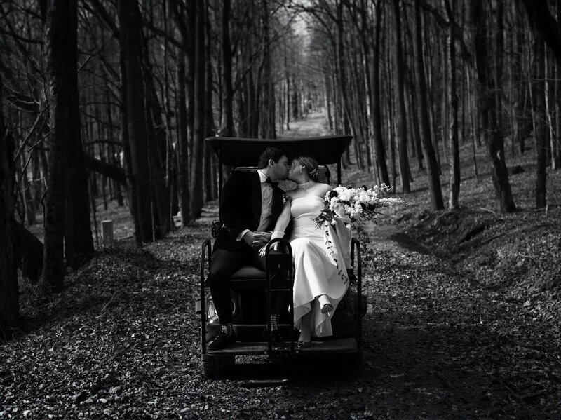 A bride and groom kissing in a golf cart traveling a tree-lined path