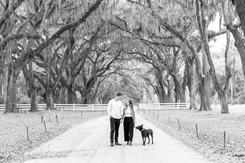 Amelia + Bryce  Wormsloe Engagement Session  Taylor Rose Photography-10