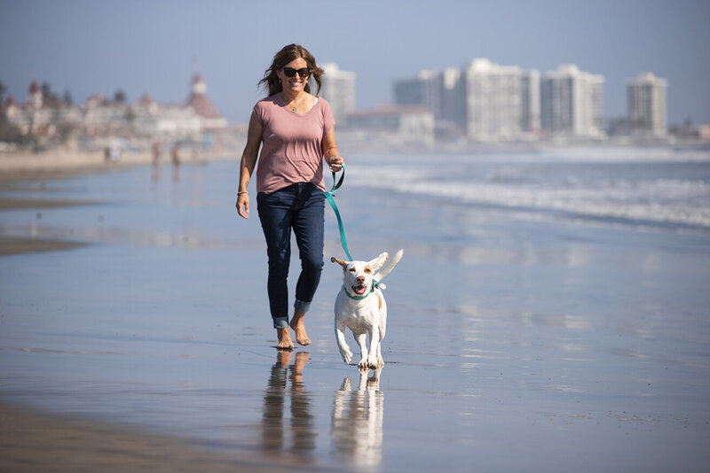 commercial-pet-photography-beach