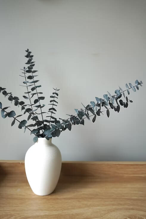 Preserved Eucalyptus Bunch (3)