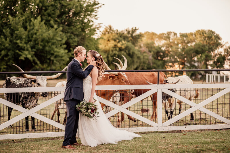 Couple with longhorns