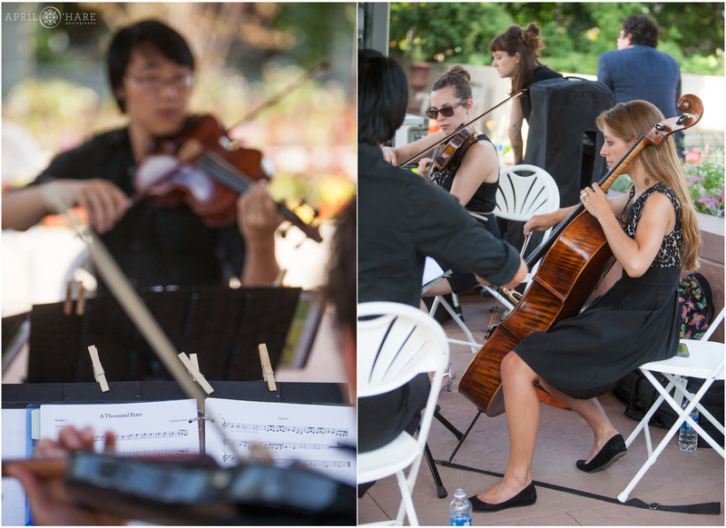 Fancy Wedding String Quartet Nexus Strings at Denver Botanic Gardens