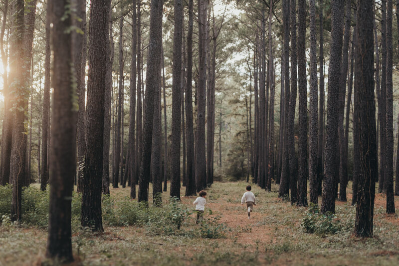 brothers run wild at a location in Houston with tall pine trees.
