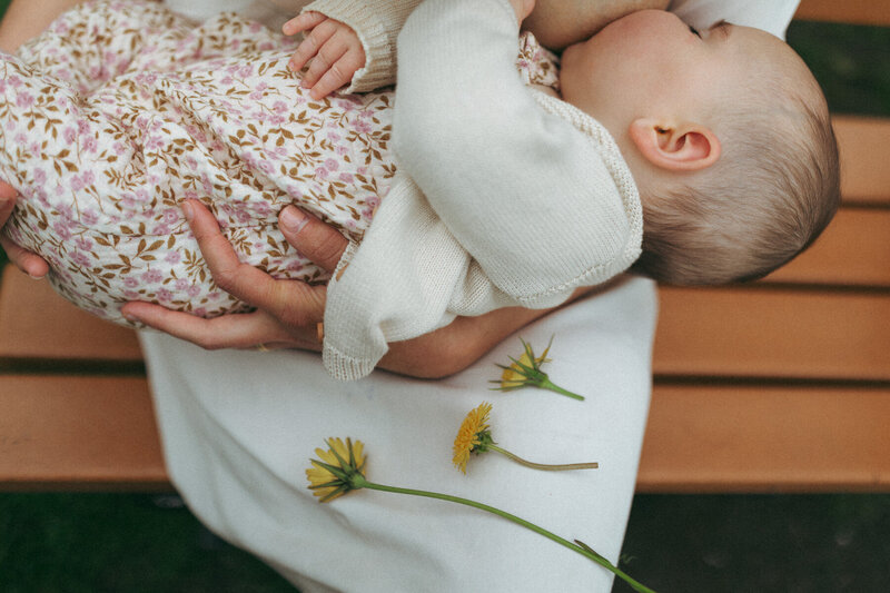 Boston family photographer