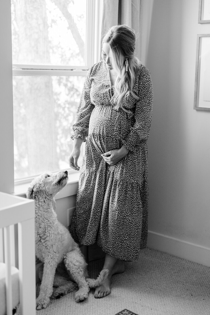 Mom holds baby bump and looks at dog during maternity session.