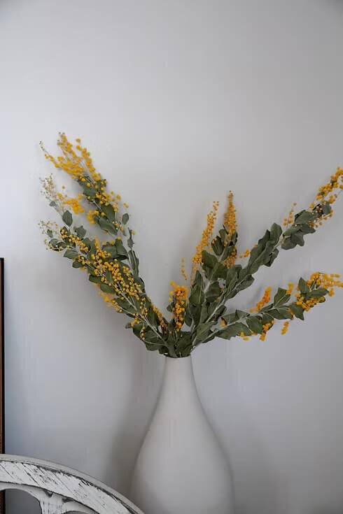 Dried Mimosa Bunch (3)