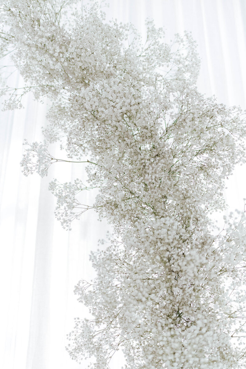 peta-lachlan-fredericks-wedding-186