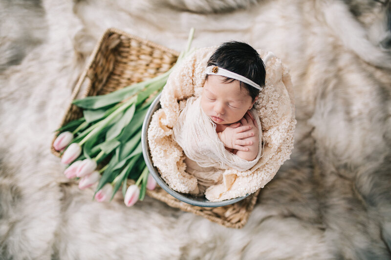 Fresh tulips and a neutral wrapped newborn in bucket