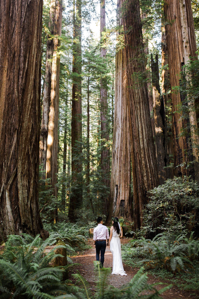 Redwoods Elopement