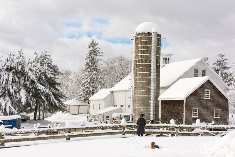 Woman looking out at barn covered in snow on Matlock Farm near Boston