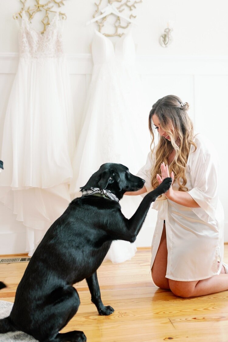 Bride-and-dog-giving-high-five-before-wedding