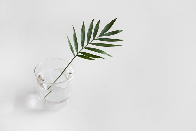sarah-dorweiler-357959-unsplash