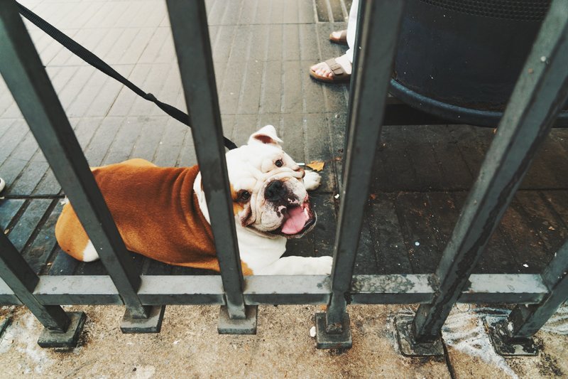 erwan-hesry-409038-unsplash