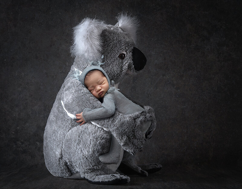 Newborn boy with toy Koala Bear.
