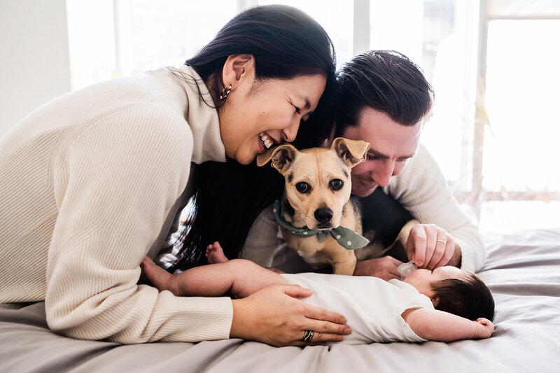 a newborn and parents with family dog