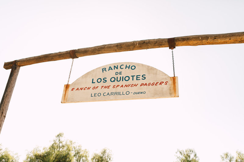 Website Design for Photographers | Images by Plum and Oak Photo 56