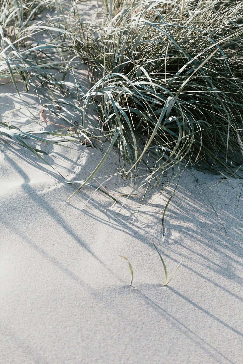 marten-bjork-kWDDdr6eNfI-unsplash