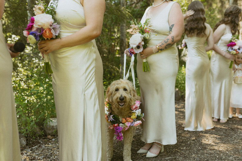 bobbie and corey (395 of 1106)