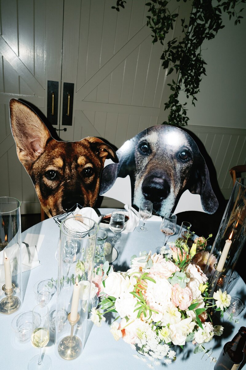 Allison Dash Photography Maggie and Kyle-996