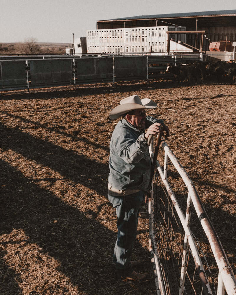 Cowboy Leaning On Fence, From The Lore Of The Range Collection