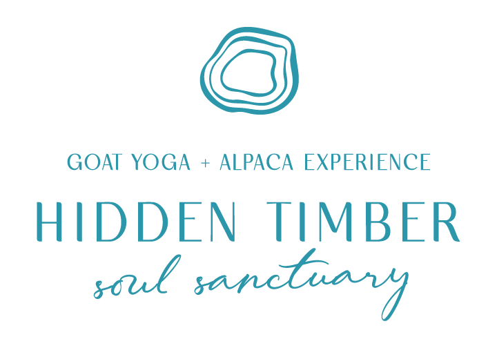 Primary log with simple tree ring illustration and words "Hidden Timber Soul Sanctuary"