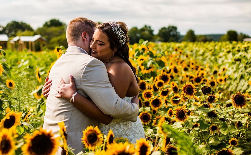 Bride and groom embrace in a fiels of sunflowers at Port Farms