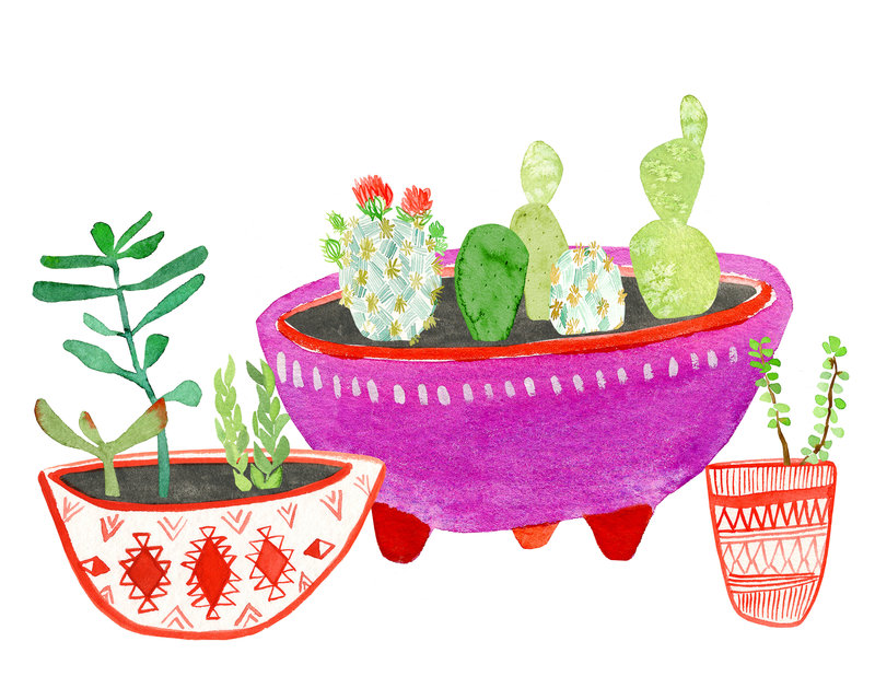 Lindsay Hine - cactuspots