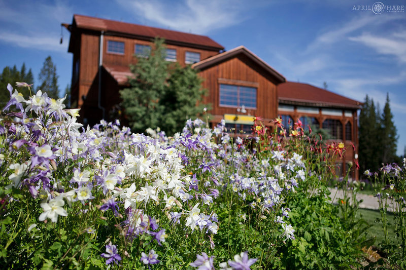 Columbines are Colorado's State Flower which Decorate the Beautiful Ten Mile Station Wedding Venue in Breckenridge
