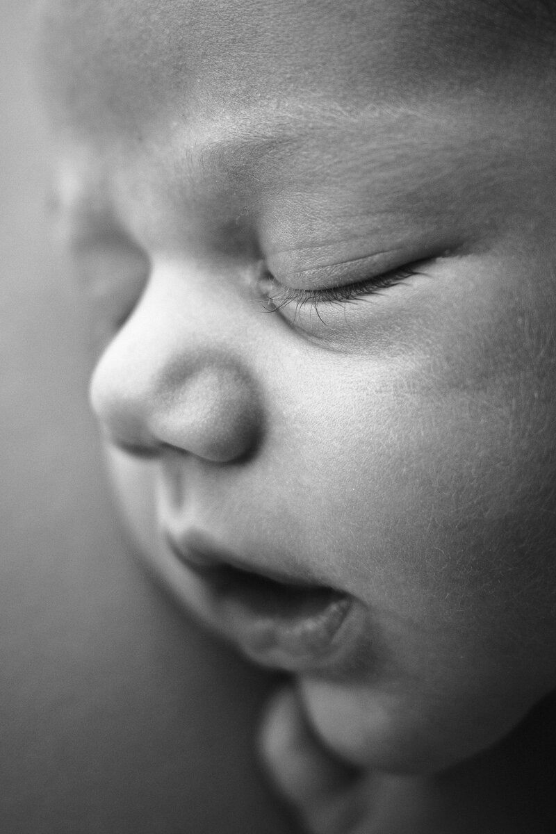 Black and white image of a newborn's nose and eyelashes