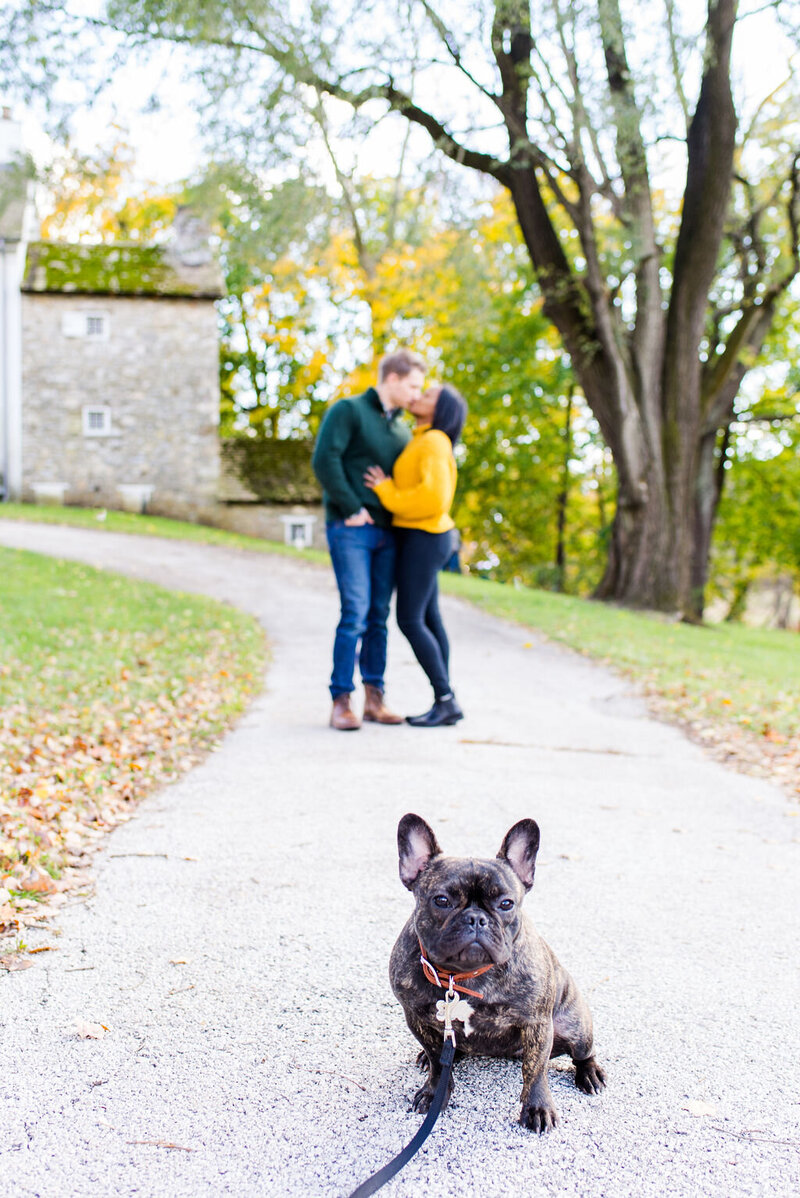 fall-engagement-valley-forge-andrea-krout-photography-20