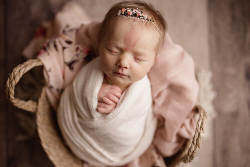 newborn photography in Elm Grove WI, baby photography Elm Grove WI