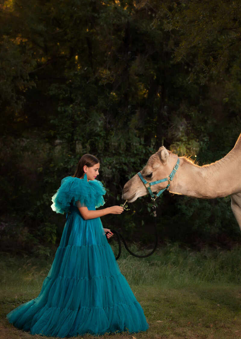 girl-feeding-camel-in-blue-dress-indalworthington-gardens