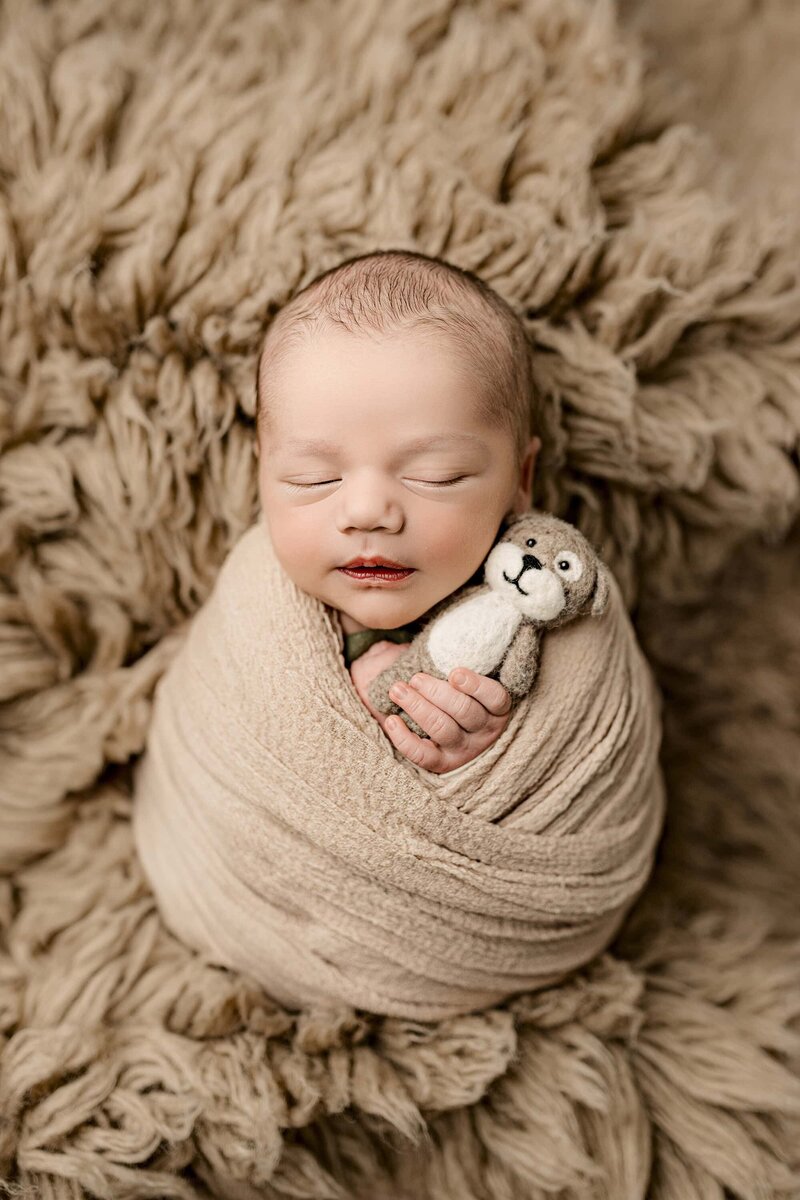 Charlotte Area newborn boy is wrapped in a brown wrap laying on a brown rug snuggling a little stuffed puppy