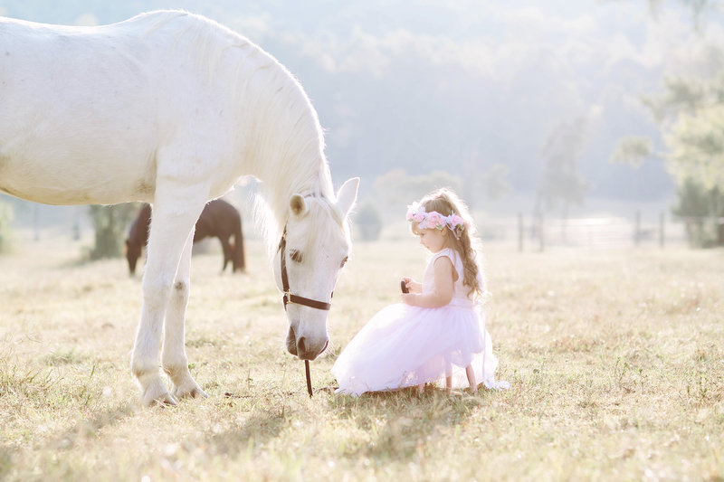 Little girl feeding horse